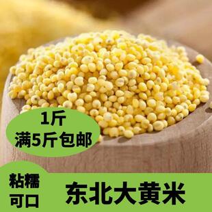 大黄米东北大黄米粘糯大黄米粘的小米包粽子黍米糜子米500g