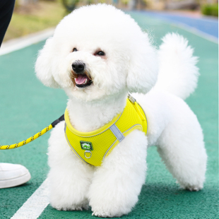 狗狗牽引繩小型犬比熊泰迪博美小狗幼犬胸背帶遛狗繩趙之孫 背心式
