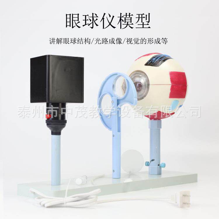 眼球仪 眼解刨模型 眼球成像仪 晶状体曲率可变中学生物实验器材