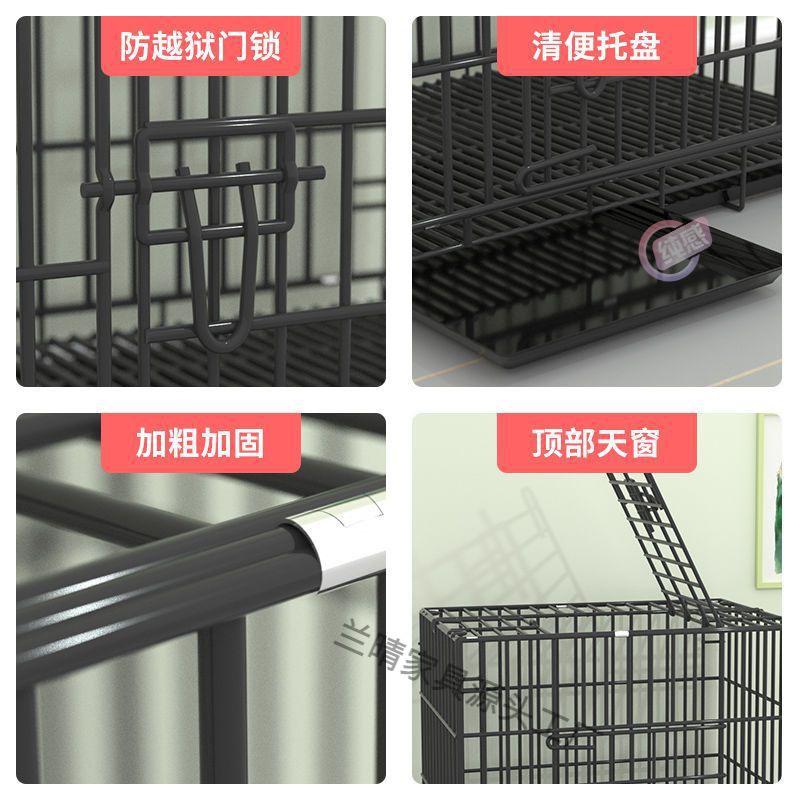 鸡笼子家用自动清粪养殖笼特大号鸡舍鸡窝阳台户外家禽鸽子鸭子笼