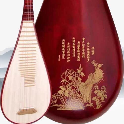 正品琵琶乐器初考学入门童人练习级家庭教学手工厂家直儿销正品包