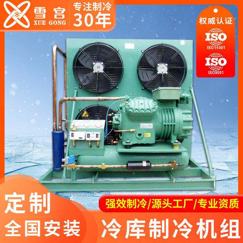 热氟融霜智能低温冷库机组保鲜冷冻冷藏全封闭定频变频机组