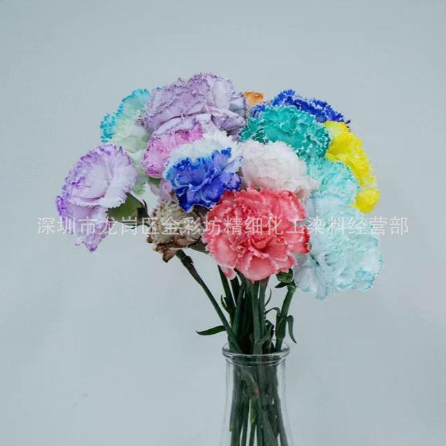 鲜花自吸染色剂 玫瑰 郁金香吸色染料 花店专用花束上色吸染粉