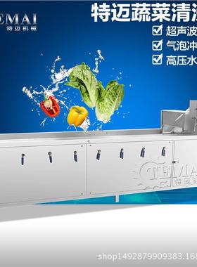 厂定制气泡清洗家机 果类蔬动去农自残清洗TM-320设备 臭氧清洗机