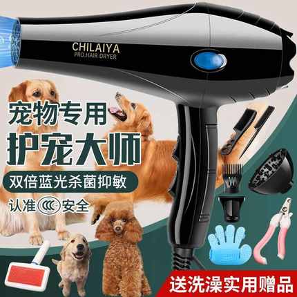 宠物狗吹风机大功率静音狗狗电吹风金毛泰迪猫咪大型犬专用吹水机