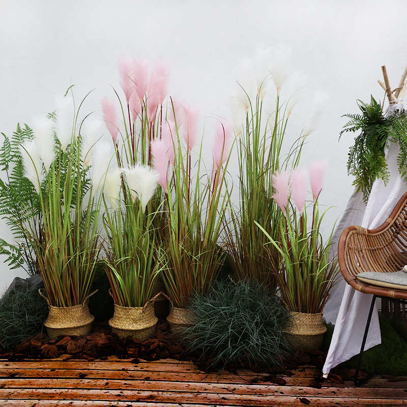 仿真绿植室内盆栽芦苇草假植物造景干花客厅摆件落地直播间装饰树