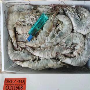 现货桑塔厄瓜多尔白虾盐冻海捕虾3040大虾2030婚宴冷冻锁鲜