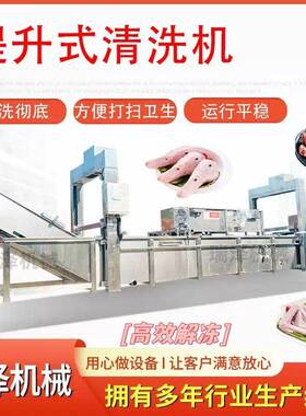 提升式解冻线,快速化冻机,鸭副解冻设备全自动煮肉解冻化冻机