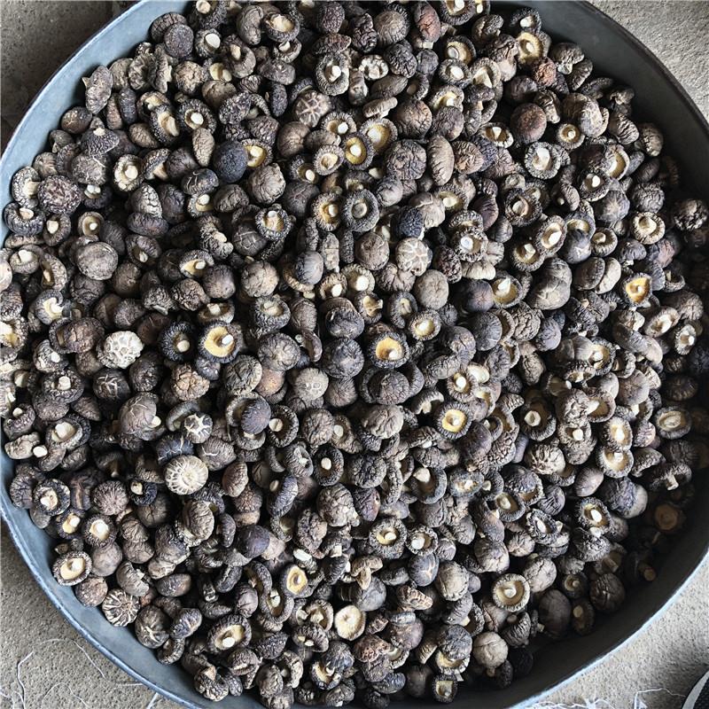 西峡香菇干货肉厚金钱菇剪脚干香菇南北干货原产地发货-货足