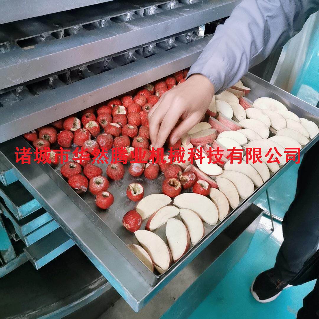 果蔬山楂真空冻干机桑葚低温冷冻干燥设备华然厂家供应