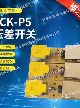 YCK-P5型压差开关（40MPa)JB/T8465-96