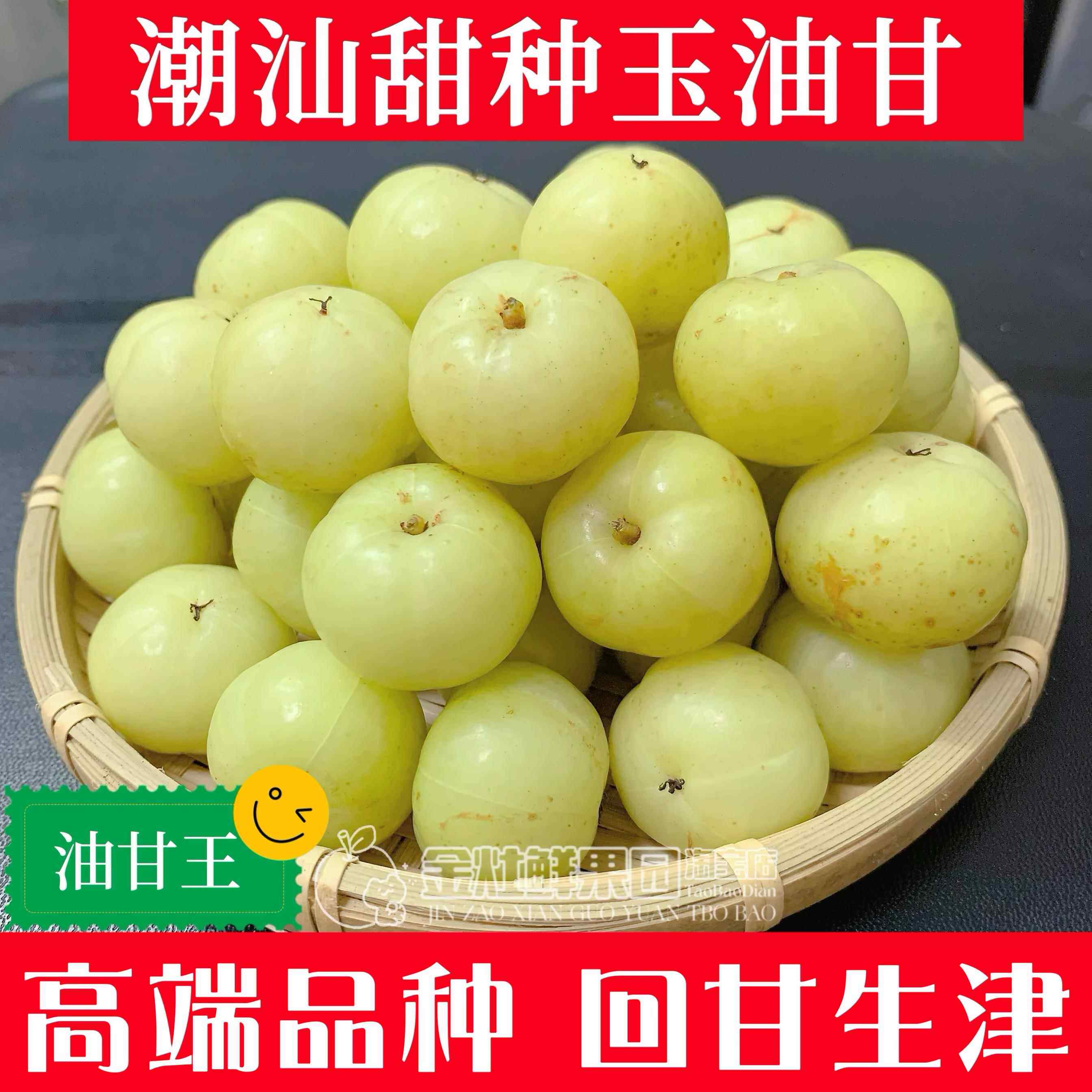 潮汕油甘果新鲜甜种油甘柿饼甜油甘牛甘榨汁余甘果玉油柑孕妇水果