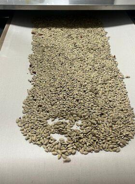 葵花籽微波烘烤设备 南瓜子微波熟化机 西瓜子微波焙烤杀菌设备