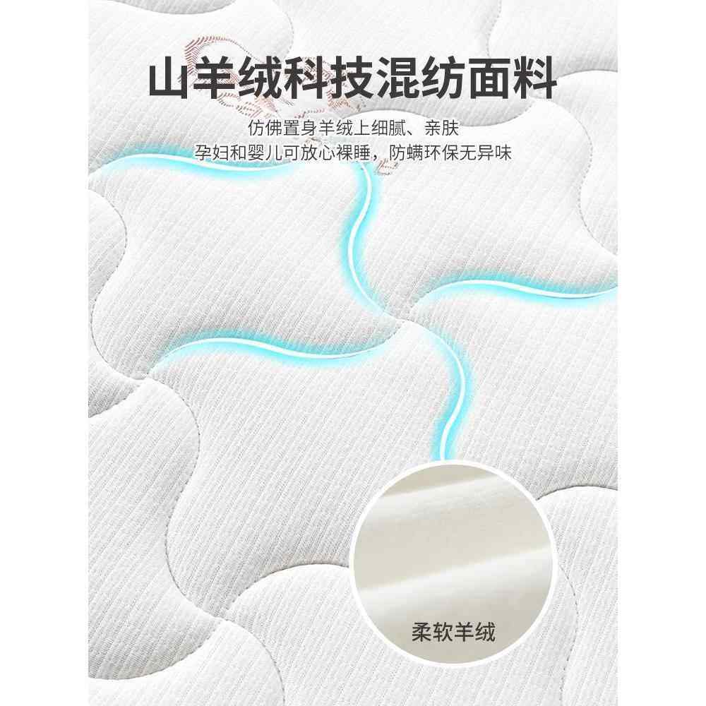 席梦思弹床家用乳垫胶椰棕弹簧床室ZJU垫双人经簧济型卧出租屋弹
