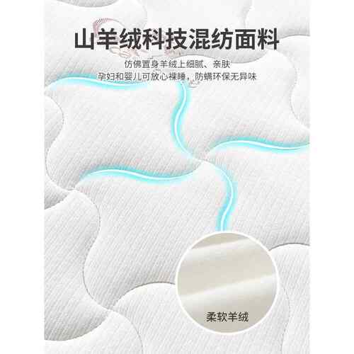 梦思弹簧270床垫用乳胶椰棕弹簧席床垫双家人济经型卧室出租屋弹