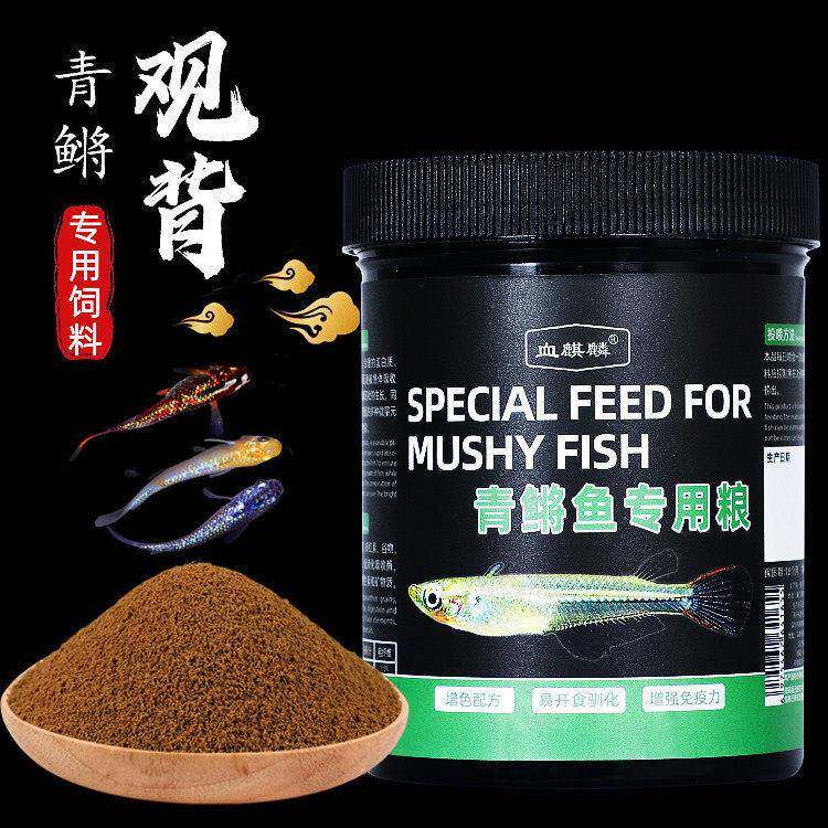 青鳉鱼饲料观背青鳉小型鱼弓背专用青将鱼观赏鱼缓沉型鱼食小