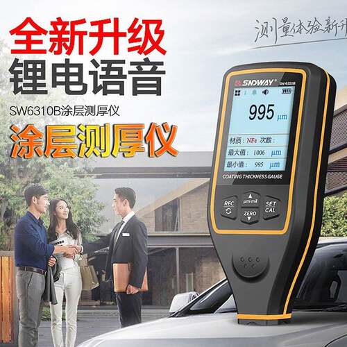 涂层测厚仪SW6300汽车油漆检测仪镀锌层厚度仪SW6310漆膜仪