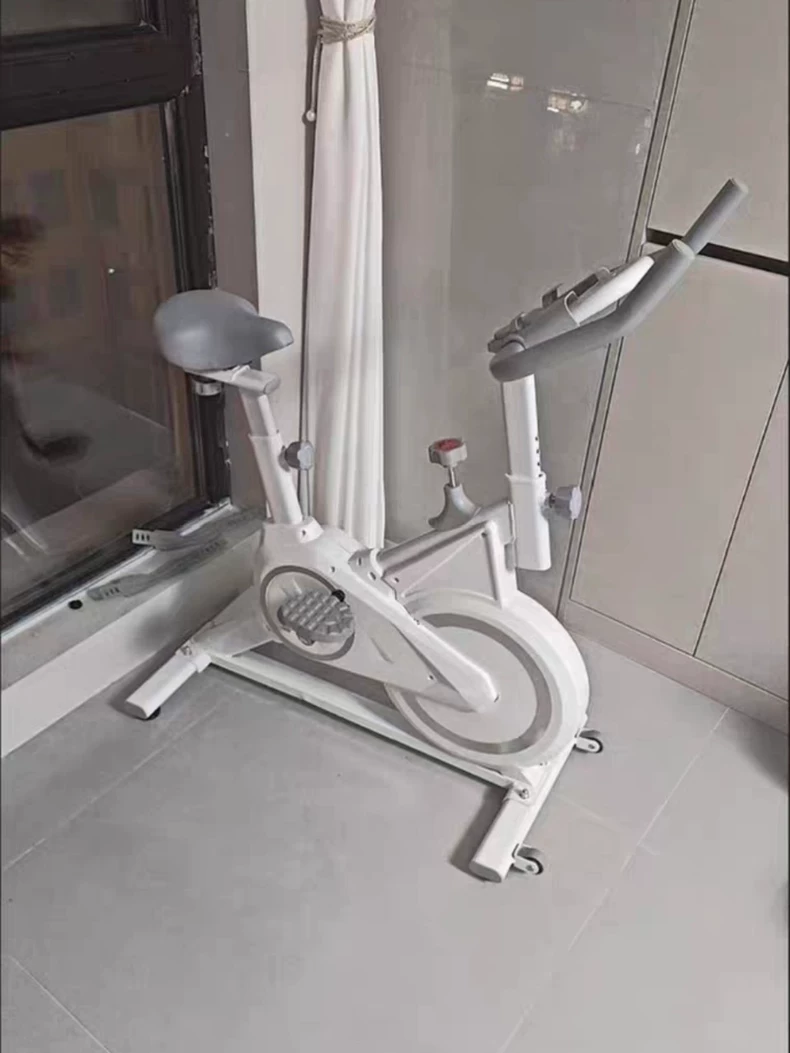 搬家了带不走！野小兽麦瑞克同款！动感单车磁控家用室内健身健身房器材