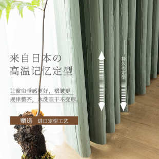 客厅卧室高档大气简约现代遮光轻奢高温定型小细皱窗帘 2022年新款