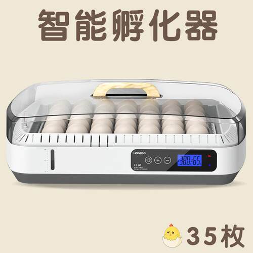 跨境全自动温湿双显鸟类小型孵化器智能自动翻蛋小鸡孵蛋器