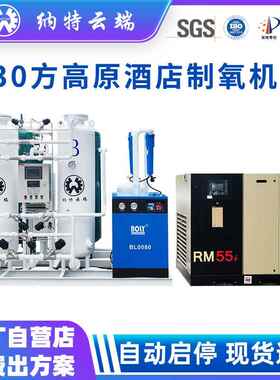 大型变压吸附制氧设备30方高原制氧机PSA制氧机酒店民宿弥散设备