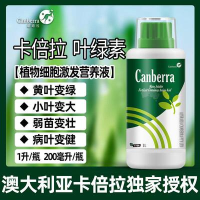 植物叶绿素黄叶一喷转绿果树蔬菜微量元素水溶氨基酸叶面肥