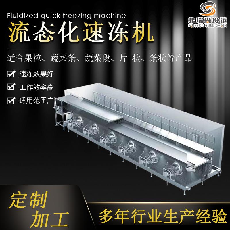 板栗速冻机连续式流态化速冻机水果苹果蓝莓蔬菜块速冻机
