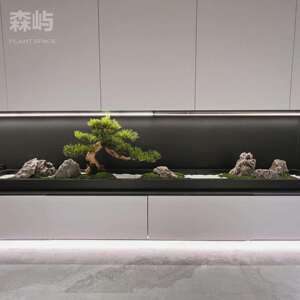 新中式长台桌花造景桌面永生苔藓微景观摆件枯山水长条茶室办公桌