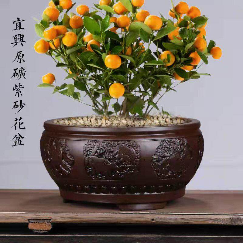 紫砂彷古花盆圆形特大老桩花卉海棠真柏提根悬崖灵芝盆景盆室内