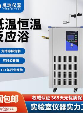 DFY-5L/10L/20L/30L/50L/80L/100L低温恒温反应浴槽加热搅拌