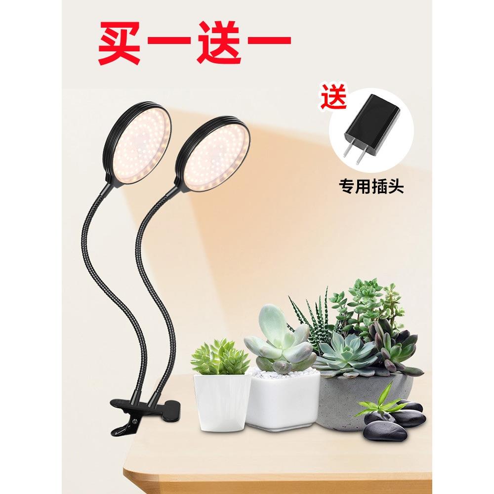 LED植物生长灯盆栽多肉花卉月季兰花暴藻灯彷阳光定时植物补光灯