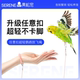 青松宠鹦鹉超轻放飞绳任意扣遛鸟神器虎皮牡丹玄凤不伤脚牵引脚链