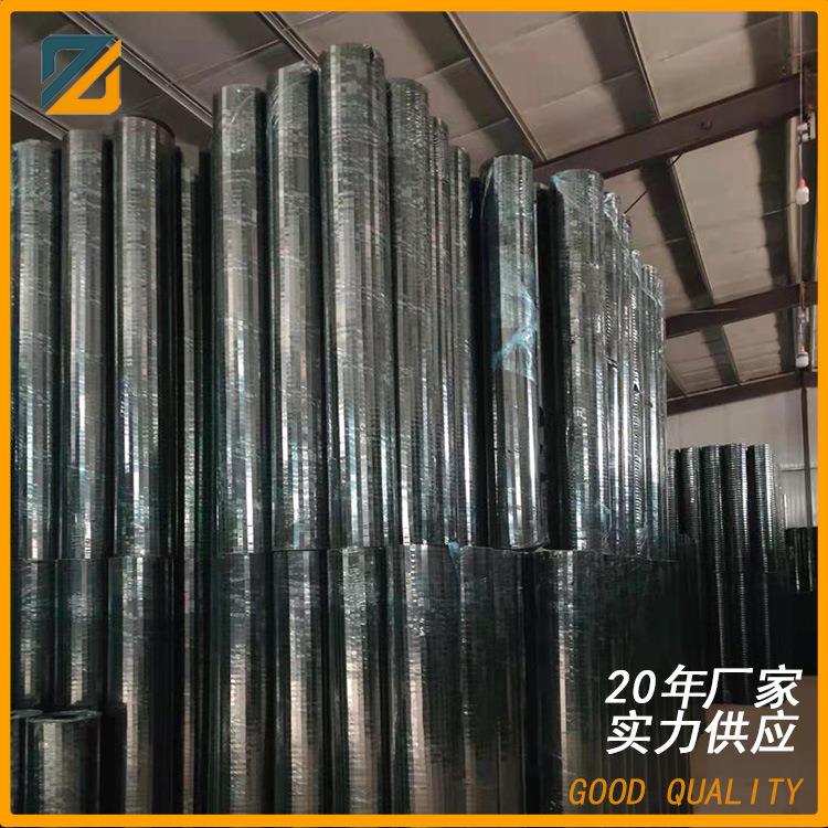 厂家供应浸塑荷兰网养殖铁丝网圈地围网果园养鸡多种网孔选择
