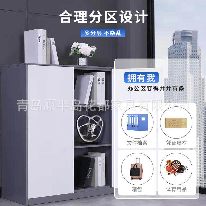 财务凭证柜文件柜资料柜档案柜加厚钢制铁皮柜办公室会计储物柜子