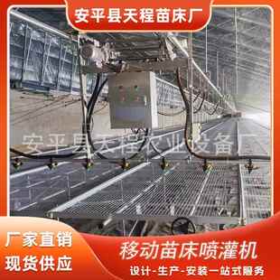 农业种床植专用种植架育苗移动苗床网格DDD式 苗床自镀通用锌动喷
