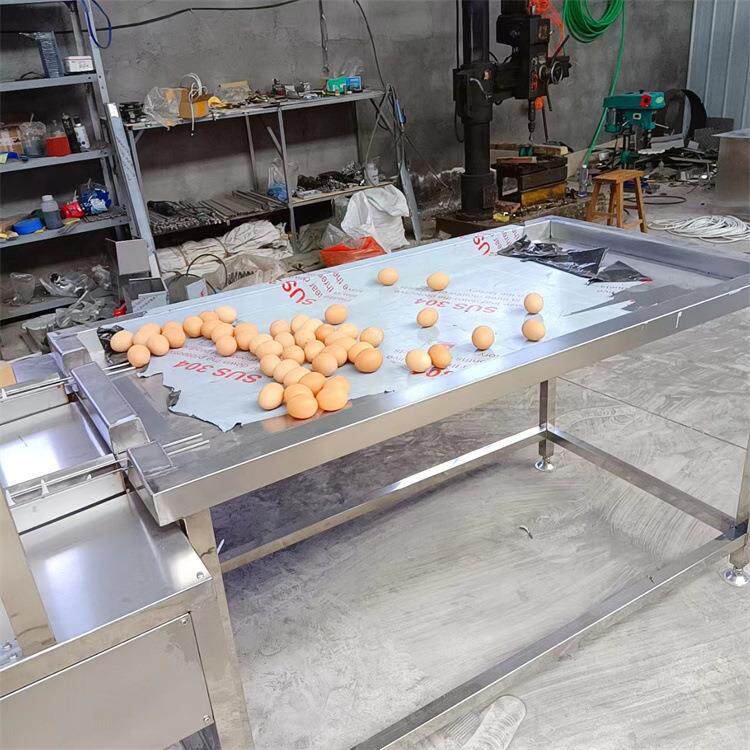 蛋品清洗设备鸡蛋清洗机鸭蛋清洗风干机全自动洗蛋机