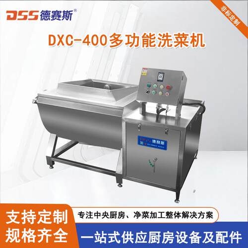 厂家供应DXC-400洗菜机酒店洗菜机蔬菜
