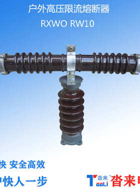 RXWO-35高压限流熔断器户外型RW10-10-12-40.5KV陶瓷绝缘卡扣式