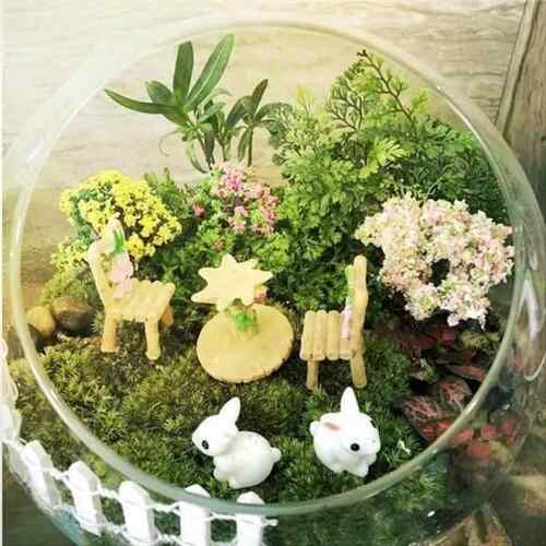 微生景办观斜口玻璃花瓶苔藓瓶多肉DIY态家居公桌352绿植装饰饰品