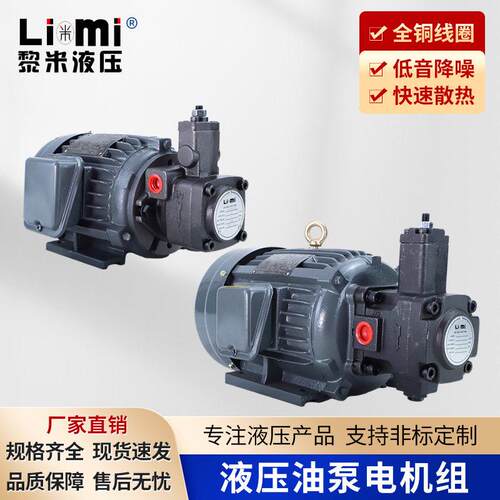 液压站专用电机泵组075/15KW-VP20全系列泵组套装耐用/高效/质保