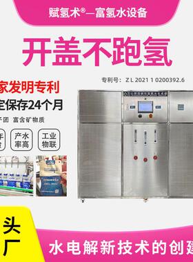 电解富氢水机小分子团碱性水设备弱碱性pH值供水厂富氢水设备