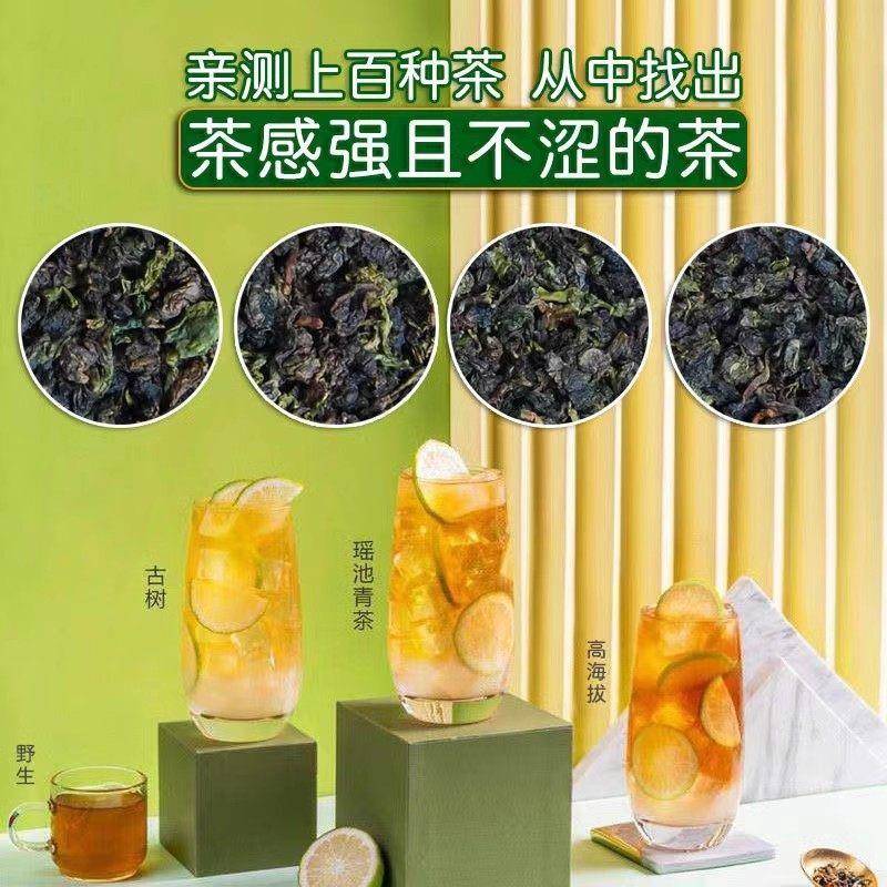 四季春乌龙茶奶茶店专用四季青茶水果茶商用茶底原料奶青四季春茶