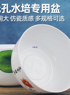 碗莲盆睡莲盆缸荷花莲花金钱草水培花盆塑料树脂铜钱草器皿
