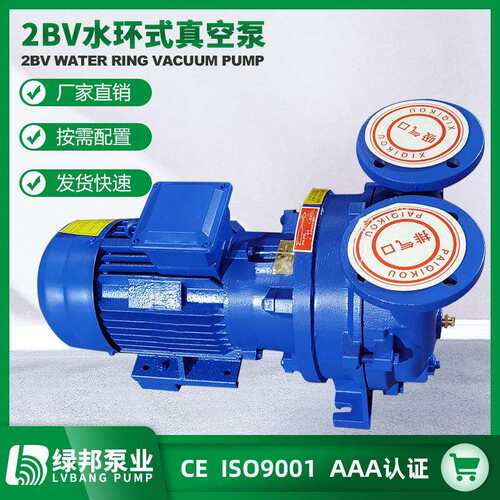 2BV系列水环式真空泵水环式真空泵厂家