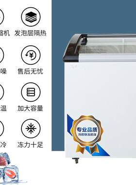 冰柜冷冻雪糕柜保鲜冷柜速冻冷藏超市商用节能冰箱推拉门展示柜大