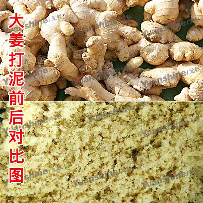 大型食物切碎机花生粒玉米芯打泥设备各种酱料破碎机器