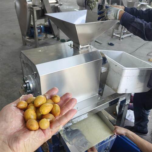 商用不锈钢果蔬打浆机芒果批粑杨梅去核打浆生姜西红柿粉碎打泥