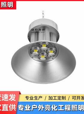 LED工矿灯50W100W200W300W厂房吊灯工厂车间照明灯天棚灯高棚灯