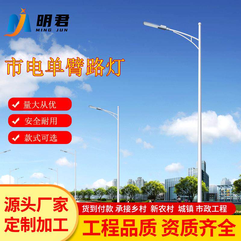 LED市电路灯单臂路灯8米10米厂区户外路灯厂家6米单臂LED路灯