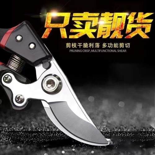 园艺剪刀批发果树修枝剪枝剪刀
